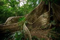 Buena Vista Lodge & Adventure Guanacaste Zewnętrze zdjęcie
